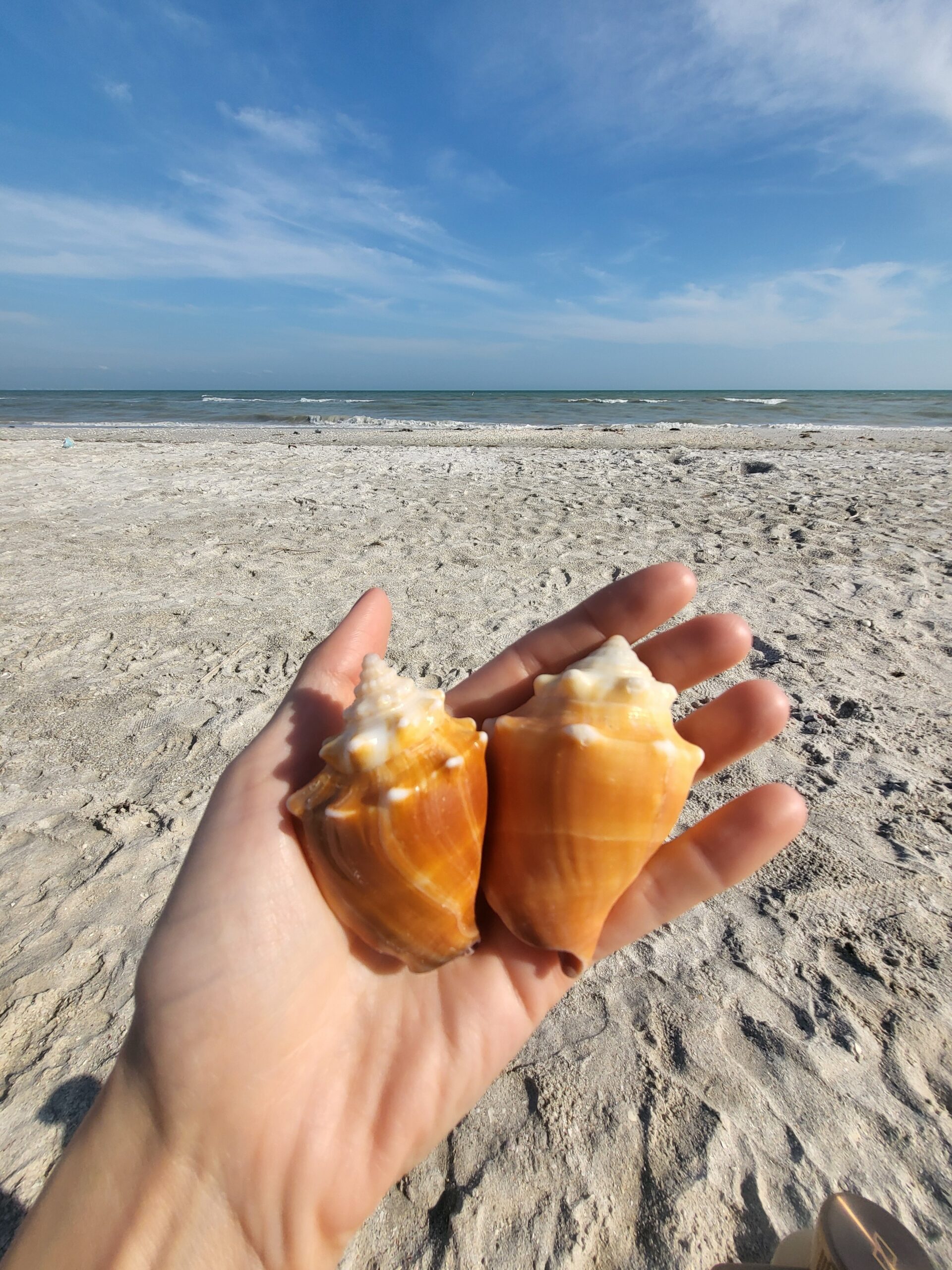 Sanibel Island, FL Travel Sketching