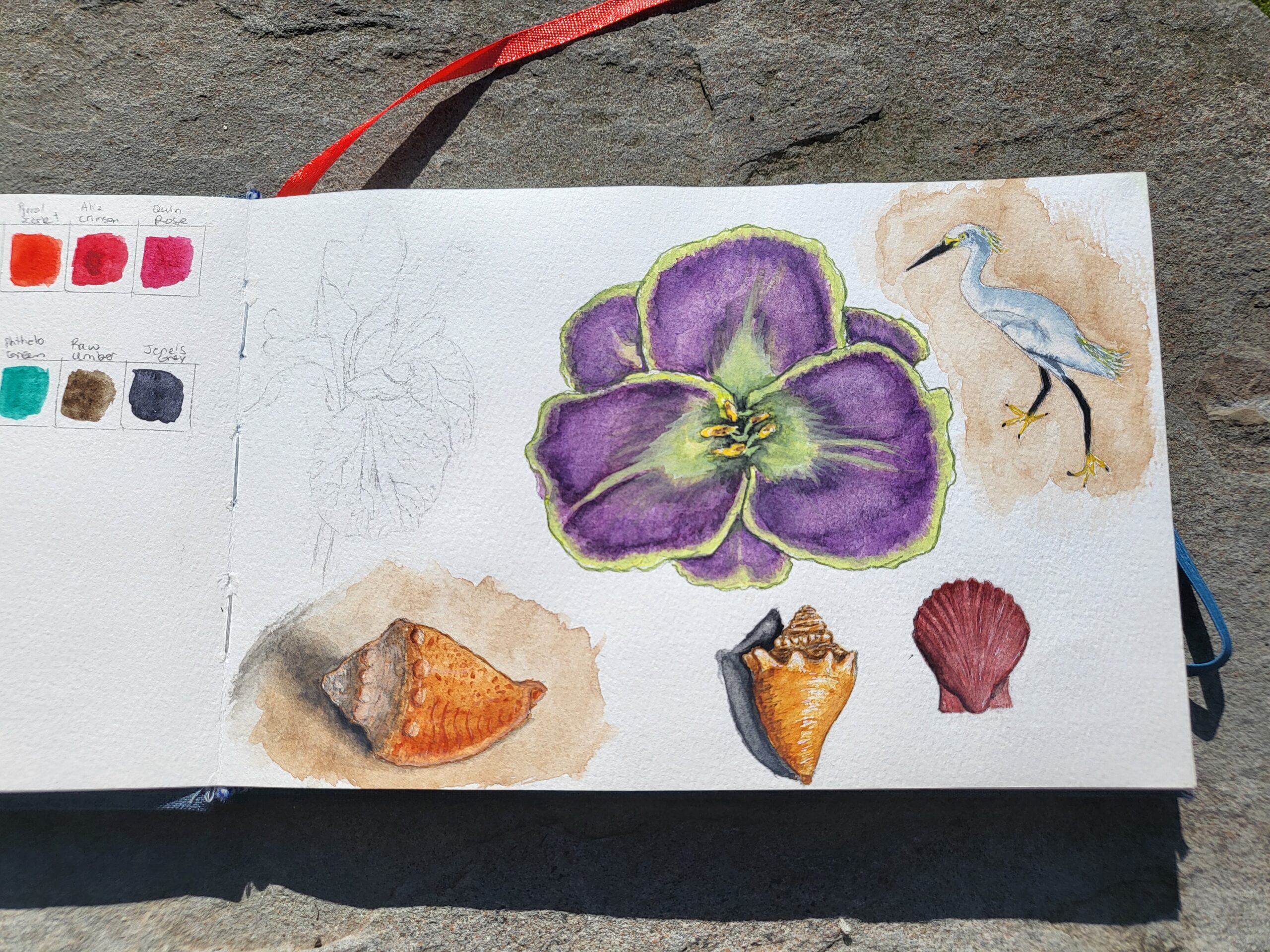 Sanibel Island, FL Travel Sketching