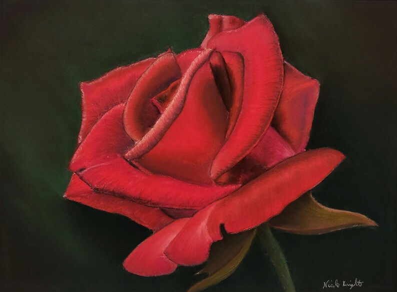 Rose Red