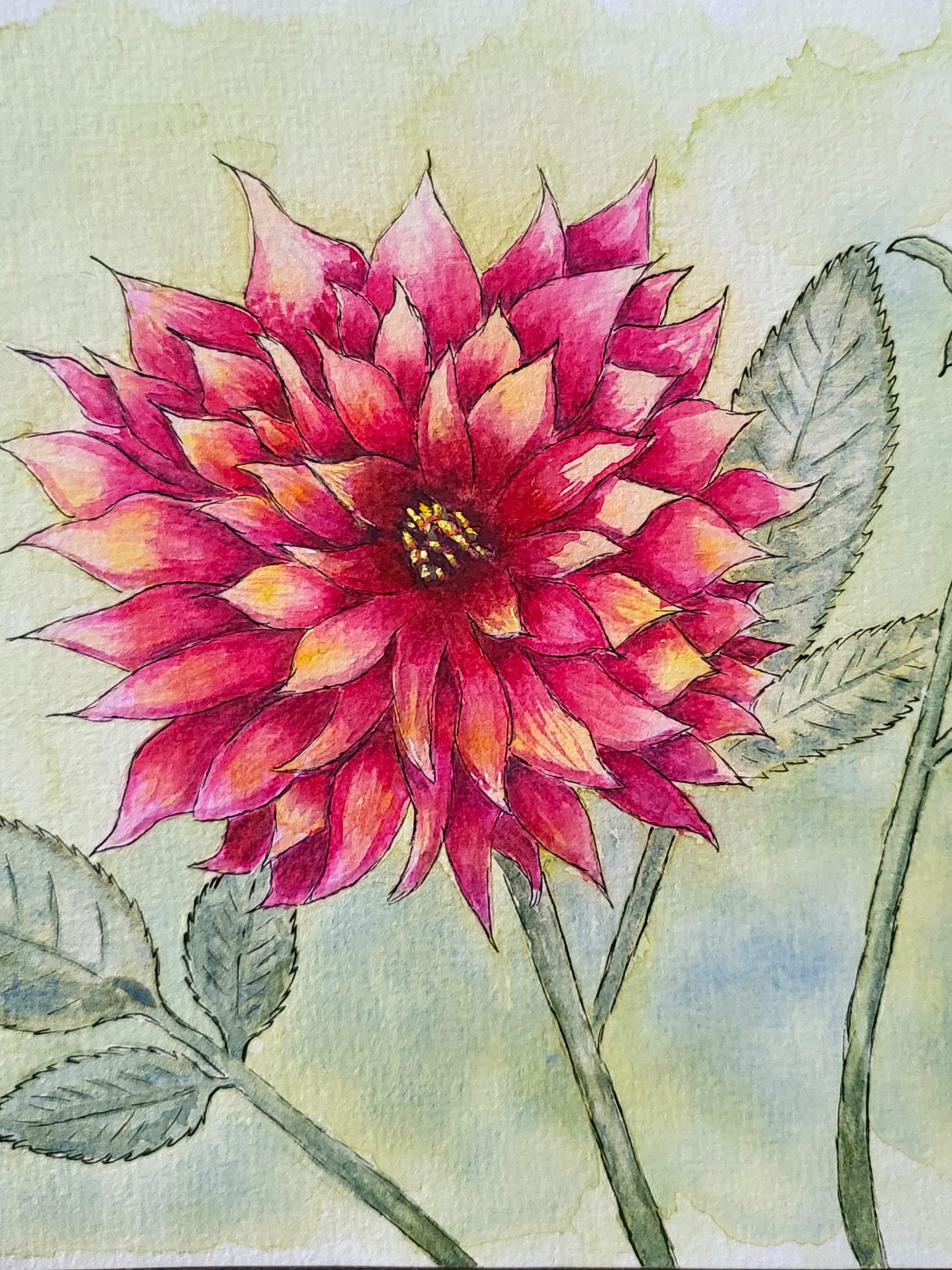 Dahlia Watercolor
