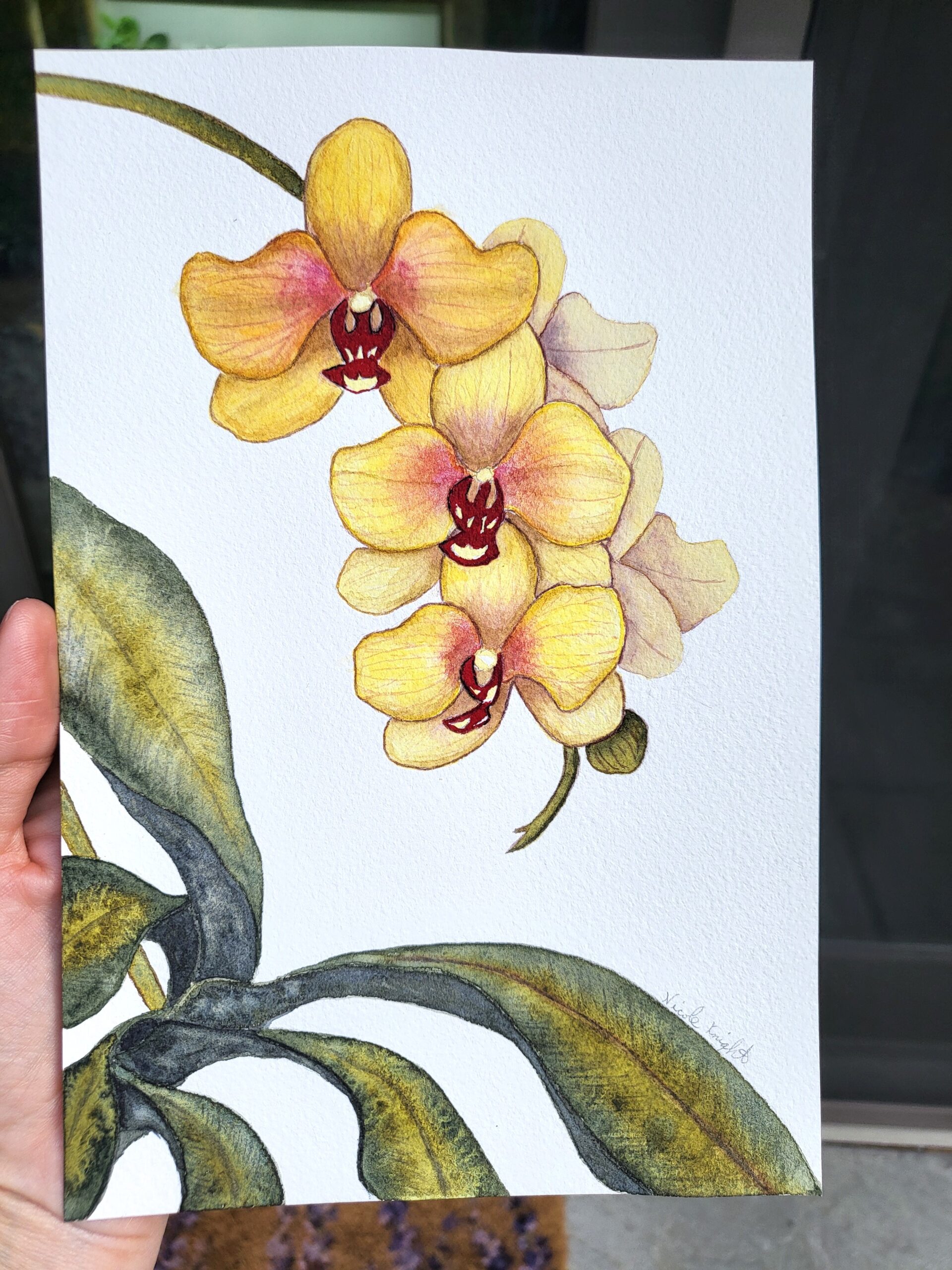 Spring at the Cottage Studio