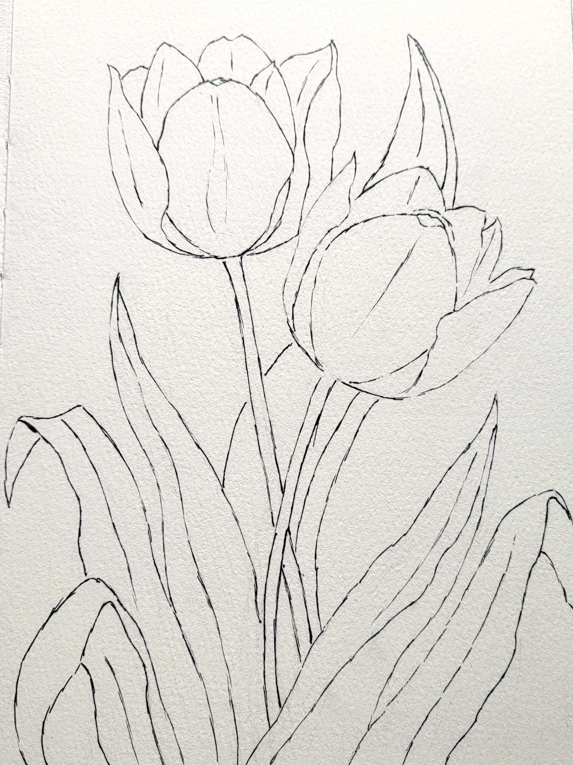 Spring at the Cottage Studio
