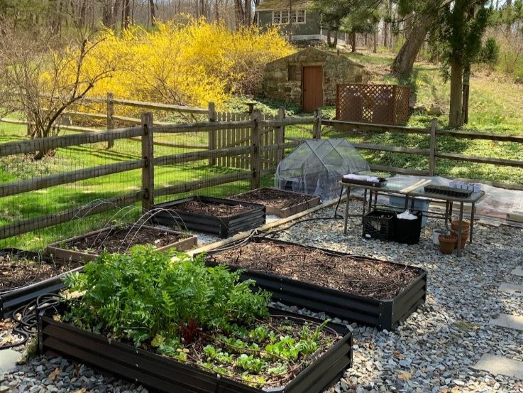 Spring at the Cottage Studio