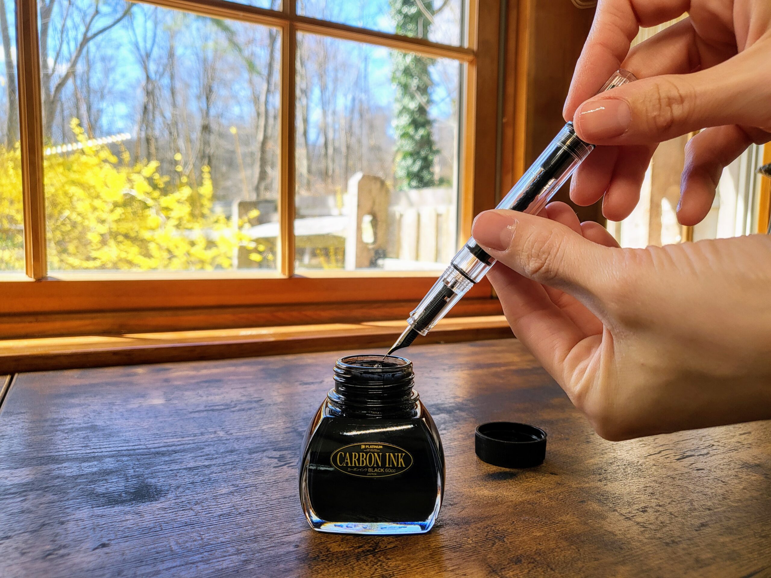 TWSBI ECO Fountain Pen