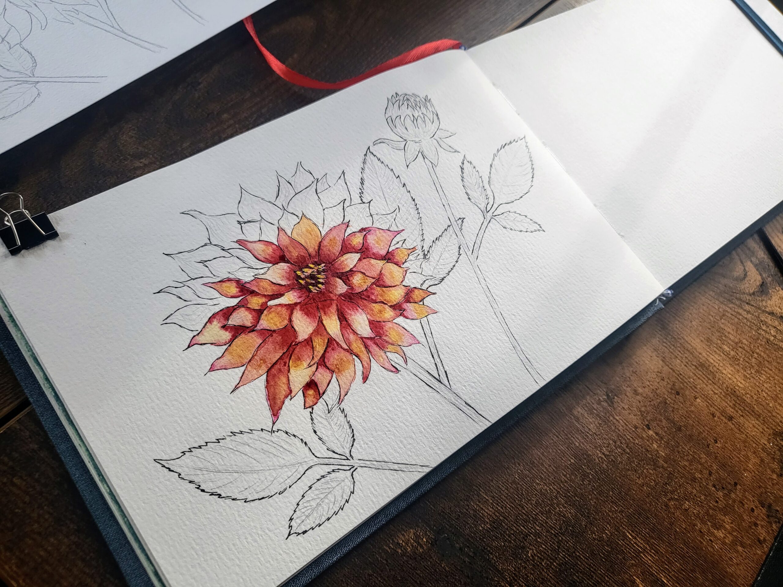 TWSBI ECO Fountain Pen