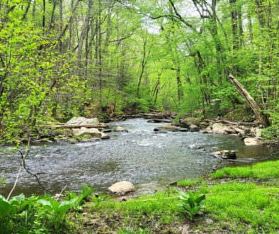 Plein Air Painting and Hiking
