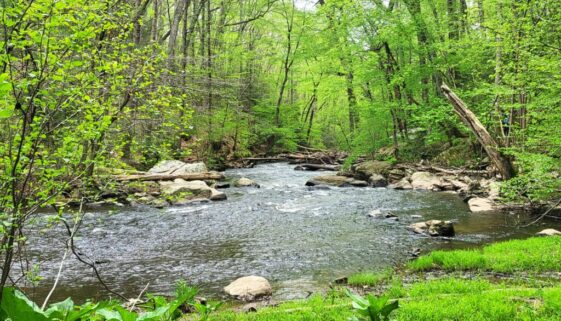 Plein Air Painting and Hiking