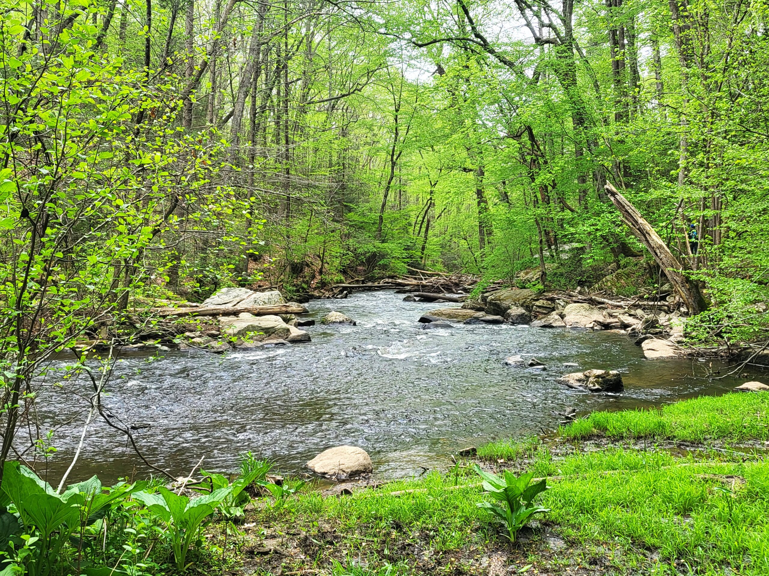 Plein Air Painting and Hiking Plein Air Painting and Hiking
