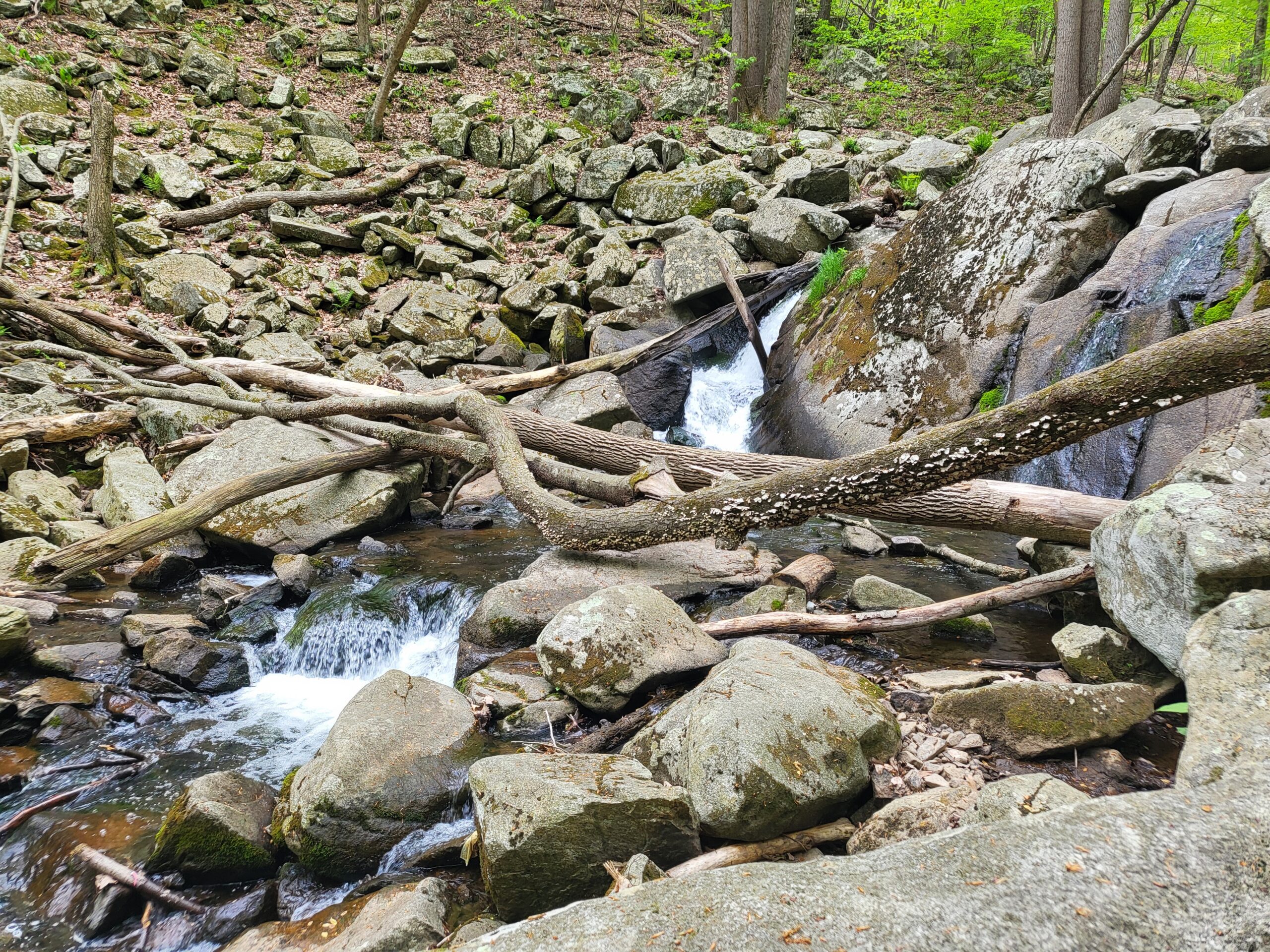Plein Air Painting and Hiking