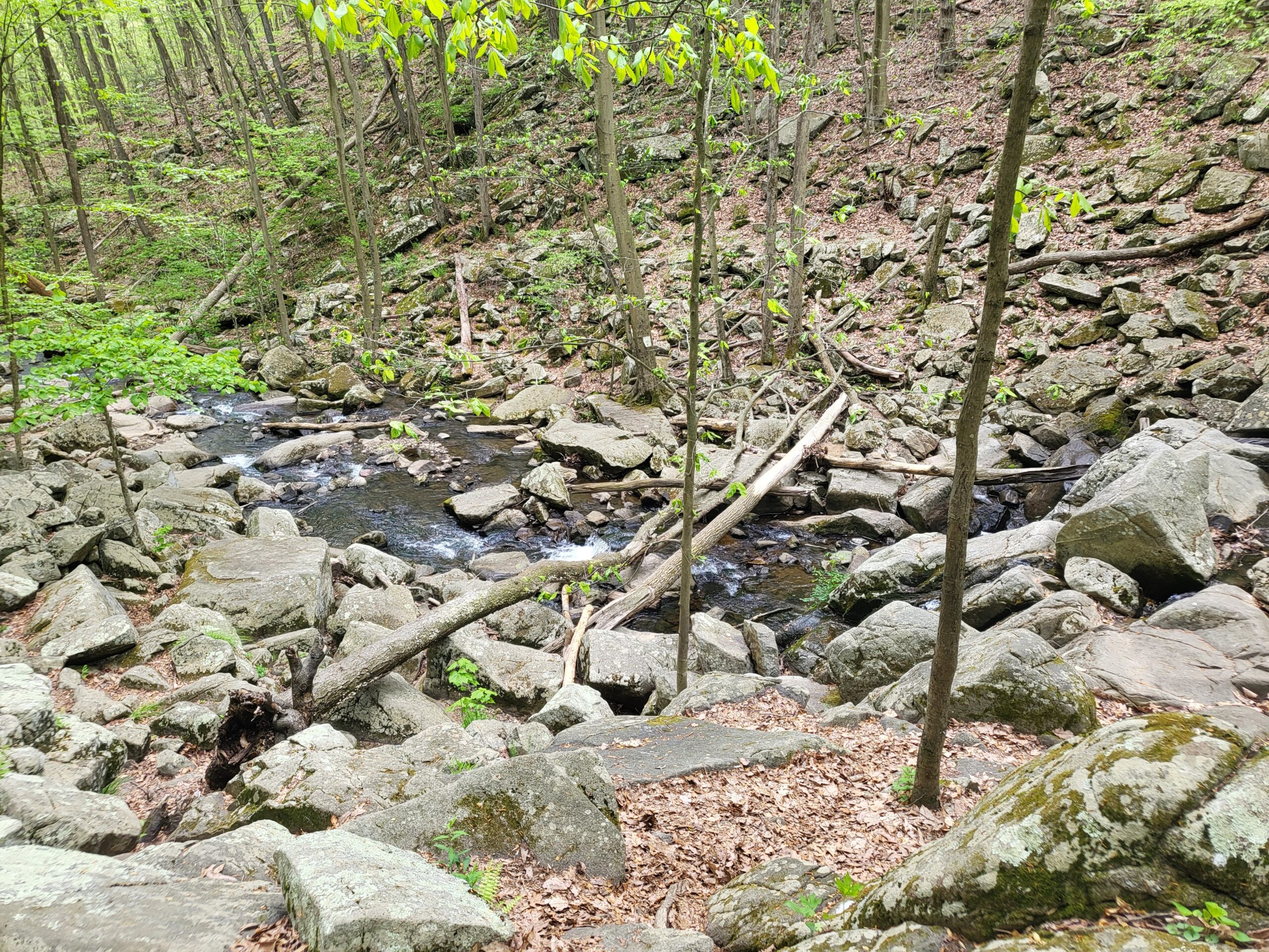 Plein Air Painting and Hiking