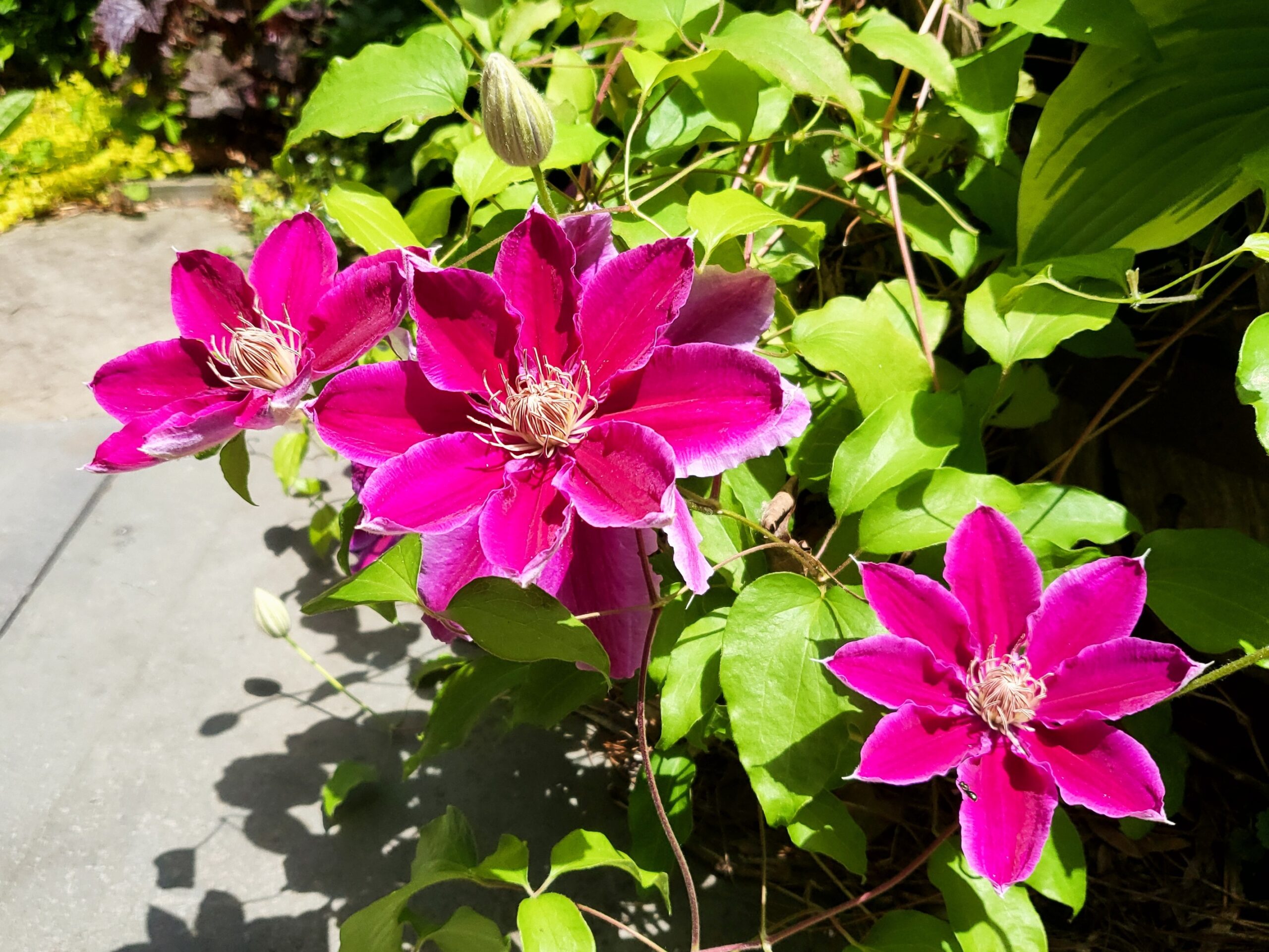 Spring Happenings
