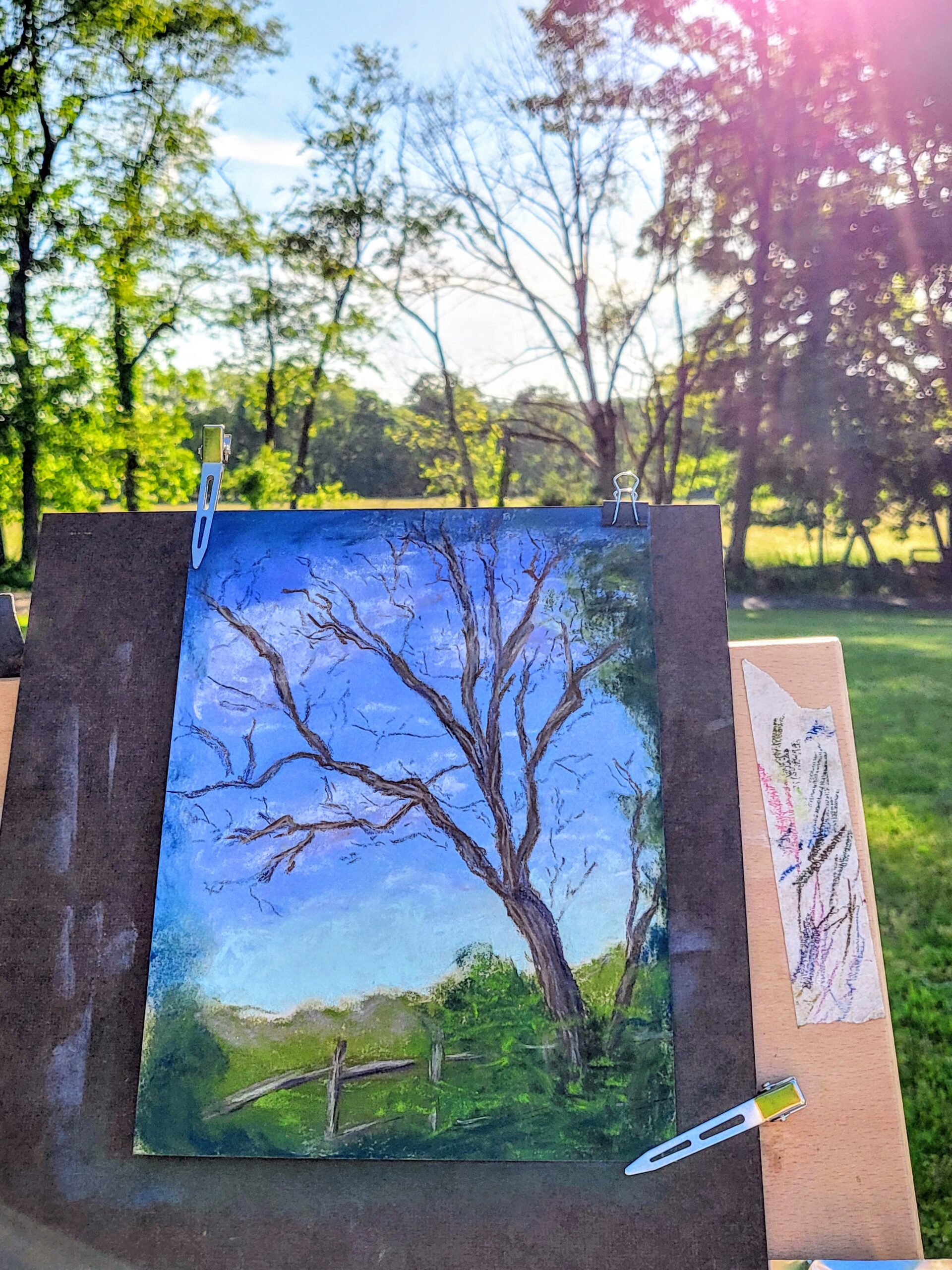 Spring Happenings