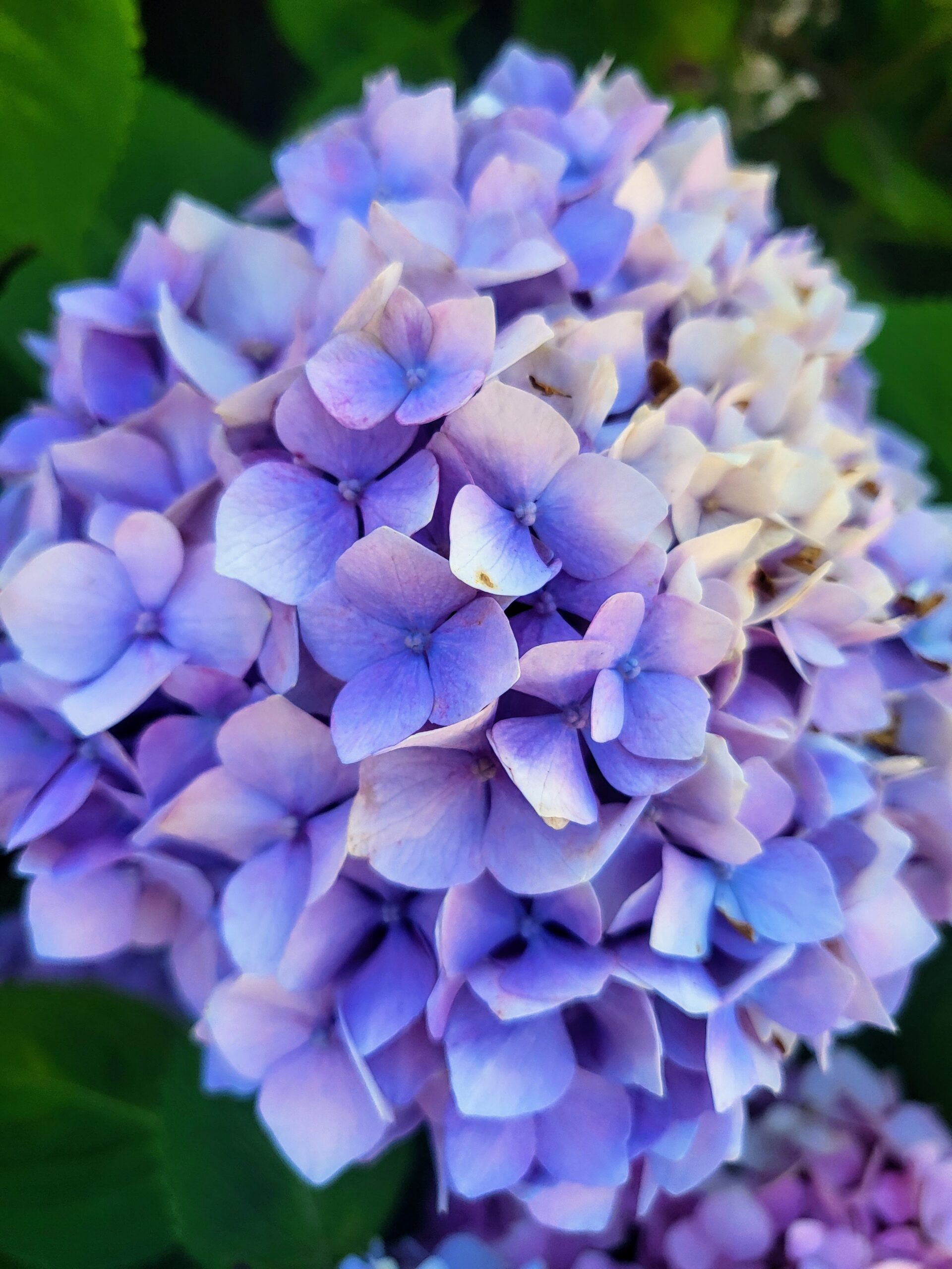Summer Wrap Up