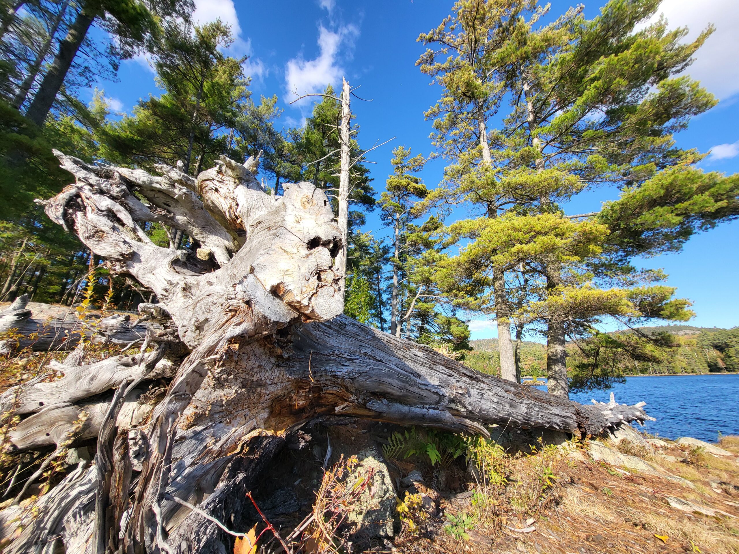 Adirondacks Backpacking