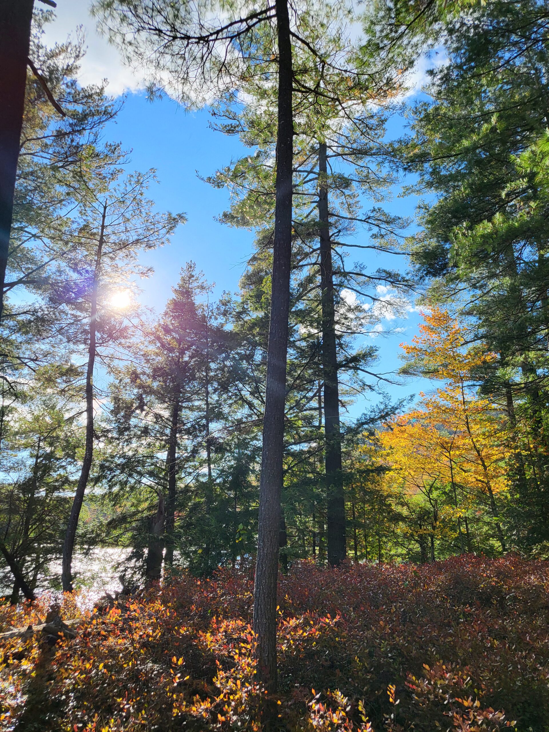 Adirondacks Backpacking