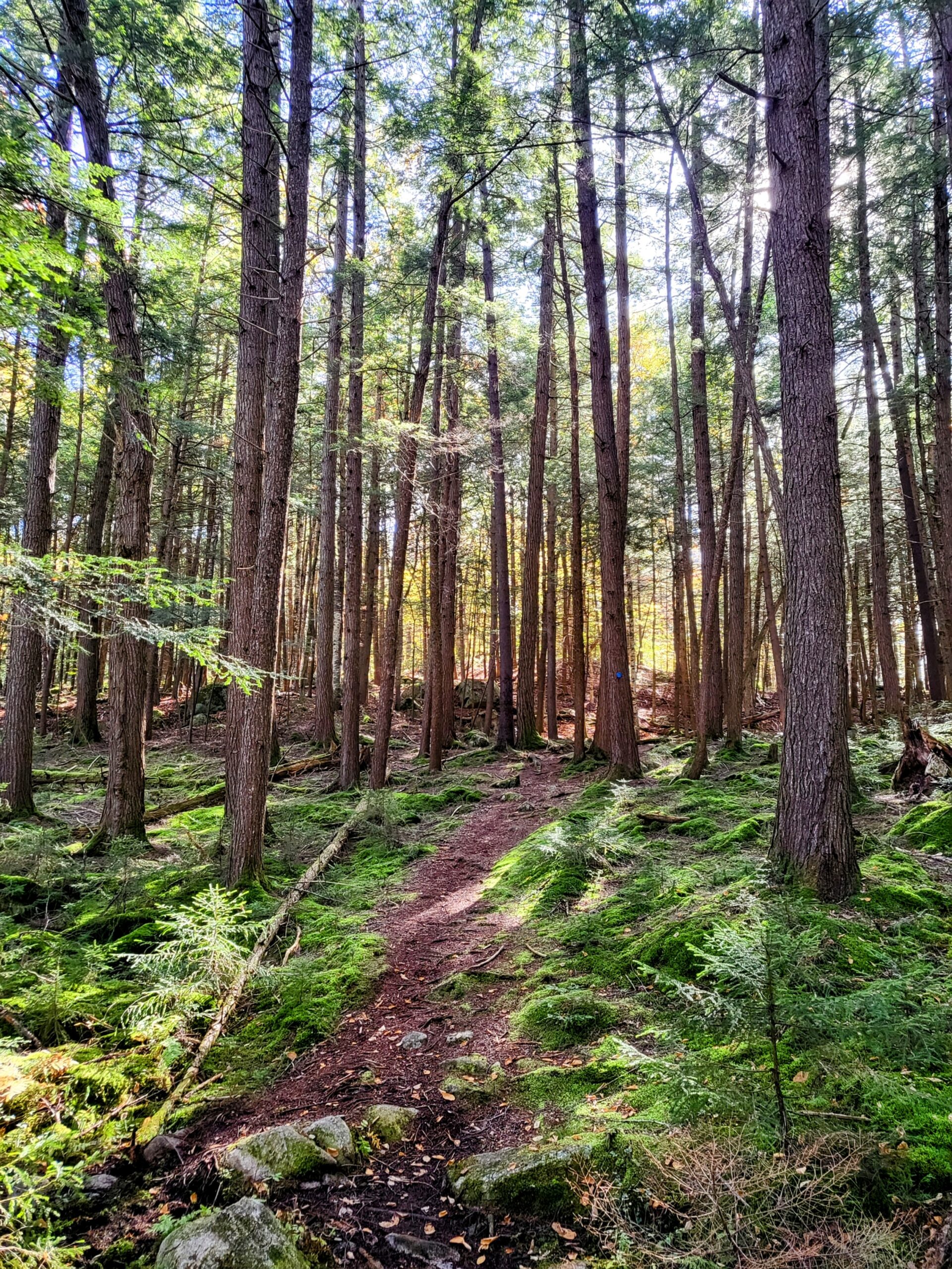 Adirondacks Backpacking