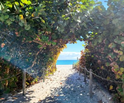 Miami Beach Sketching