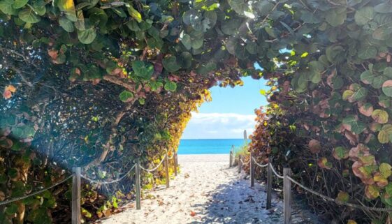 Miami Beach Sketching