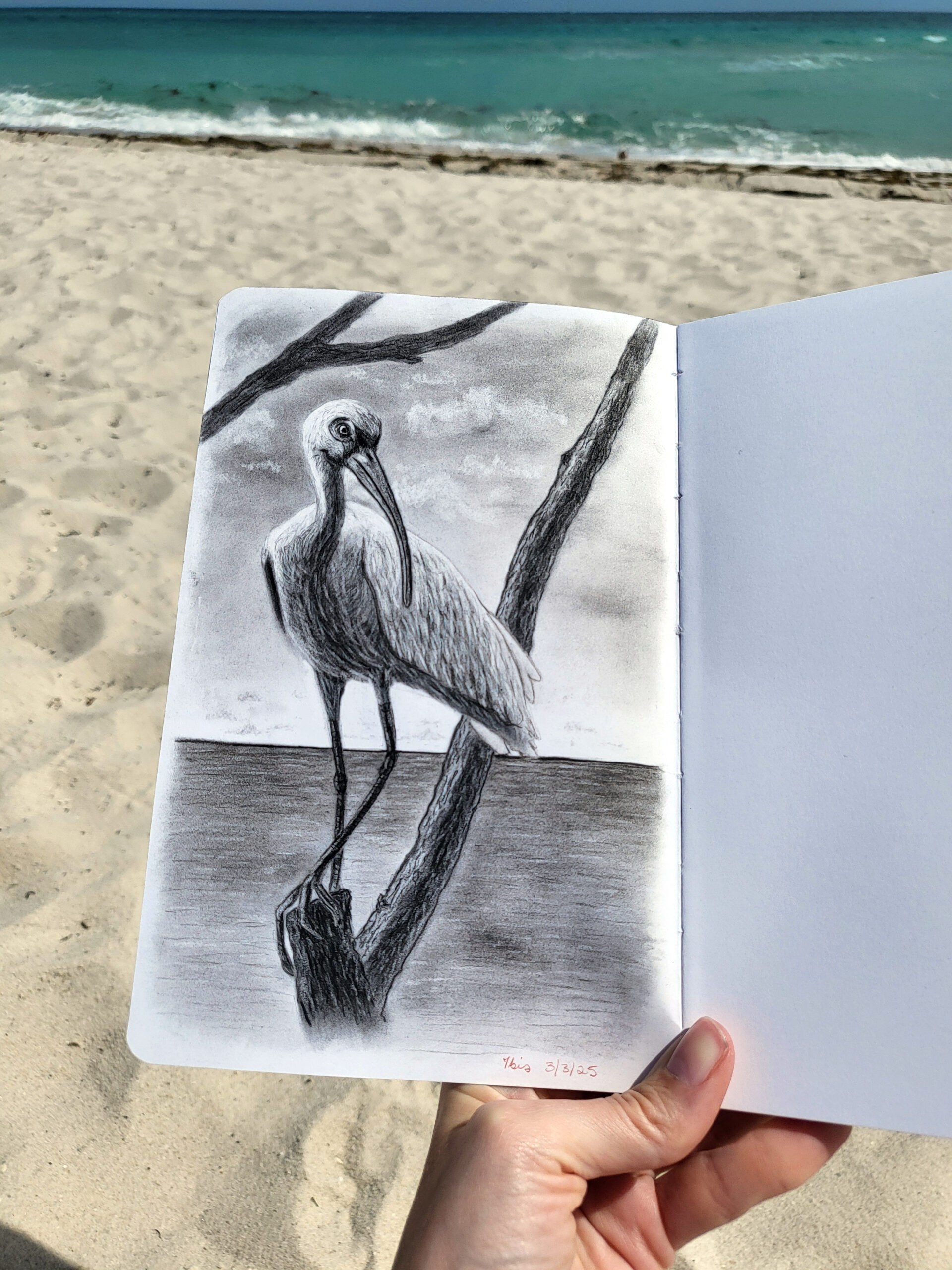 Miami Beach Sketching