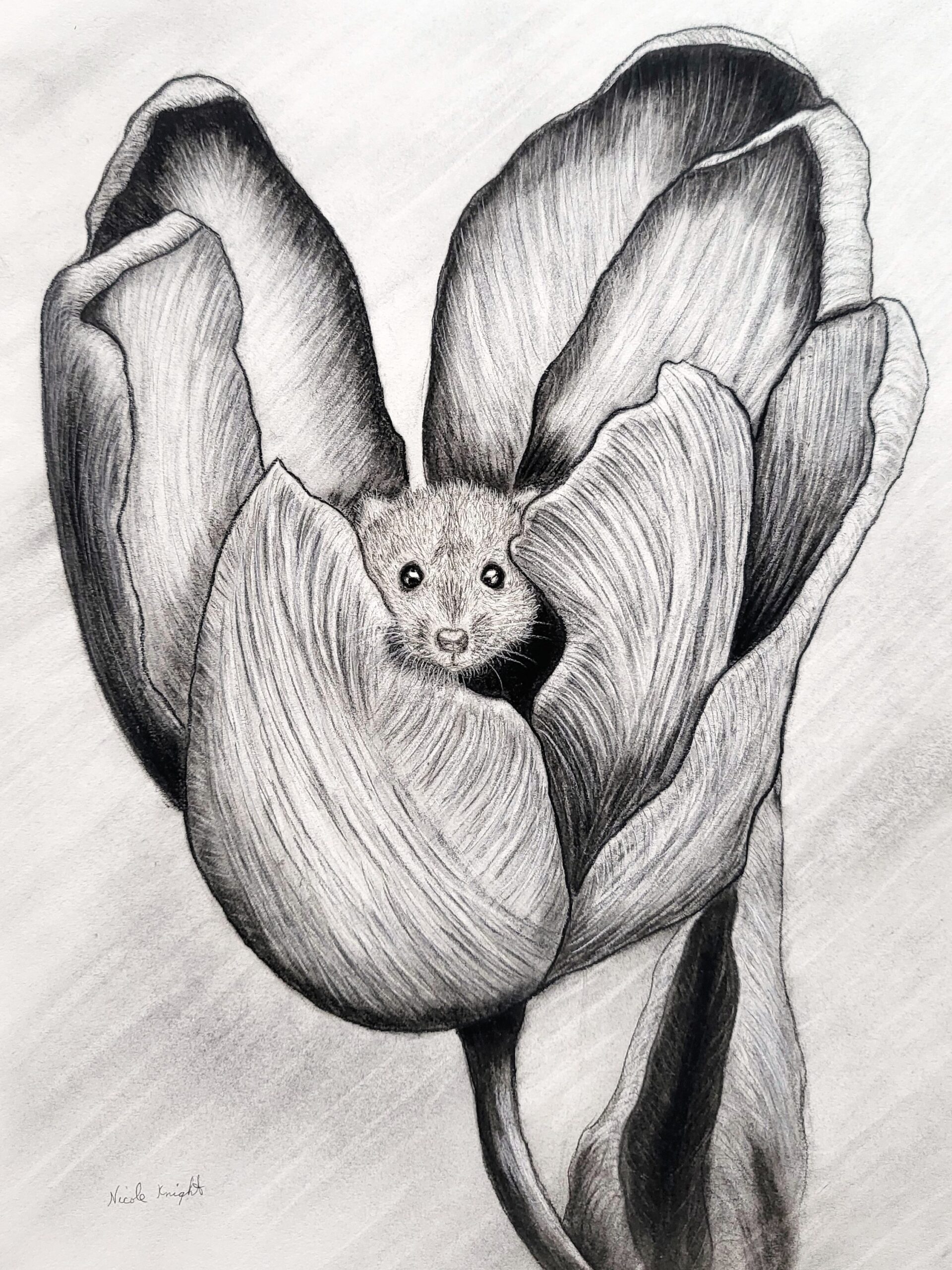 Between Bloom & Harvest Studio Recap