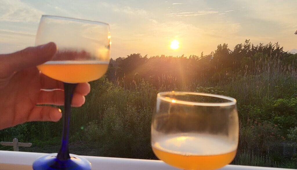 Between Bloom & Harvest Studio Recap