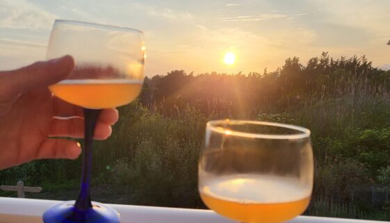 Between Bloom & Harvest Studio Recap