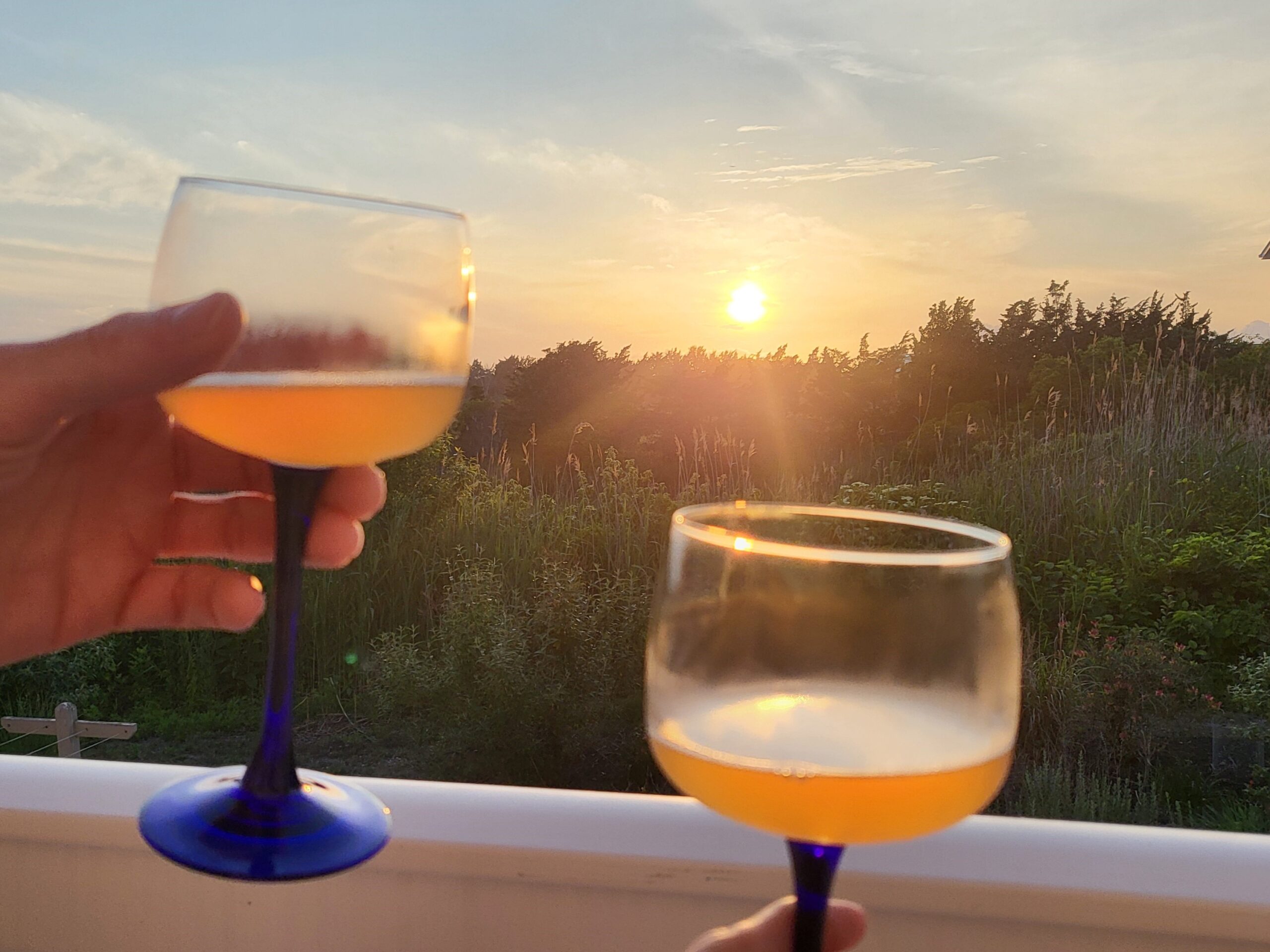 Between Bloom & Harvest Studio Recap