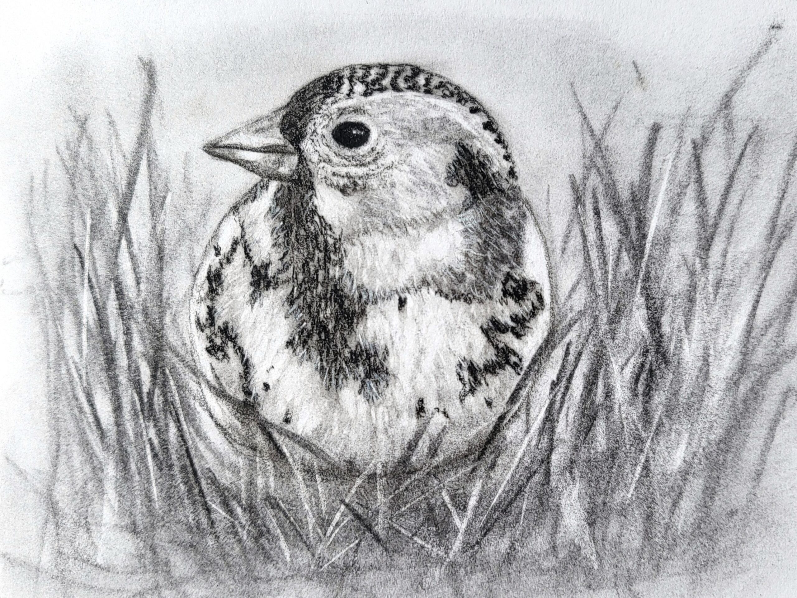 Between Bloom & Harvest Studio Recap